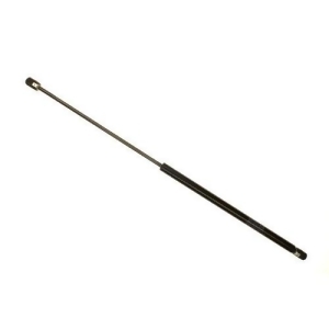 Trunk Lid Lift Support Left Sachs Sg206004 - All