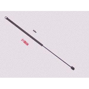 Sachs Sg230011 Lift Support - All