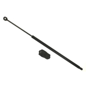 Sachs Sg159005 Lift Support - All