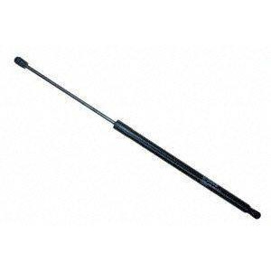 Sachs Sg229027 Lift Support - All