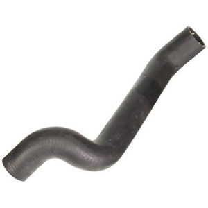 Radiator Hose - All