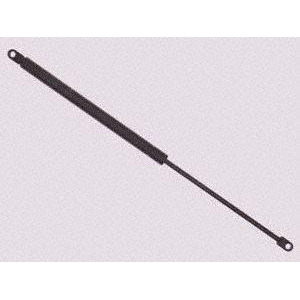 Sachs Sg318001 Lift Support - All