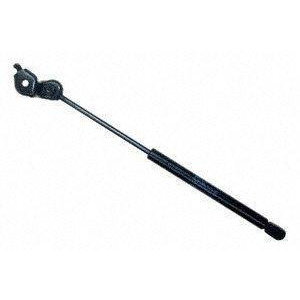 Sachs Sg329023 Lift Support - All