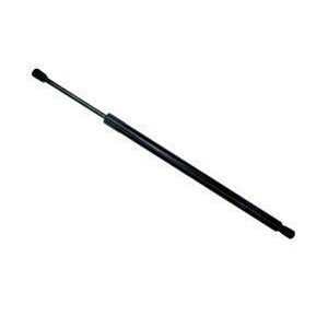 Sachs Sg304081 Lift Support - All