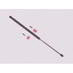 Sachs Sg229006 Lift Support - All