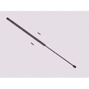 Sachs Sg229001 Lift Support - All