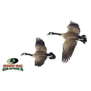 Mossy Oak Graphics 13009 Canada Goose Flying Left Decal - All