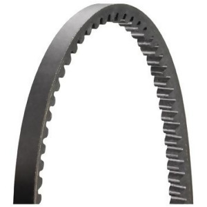 BELTS OEM