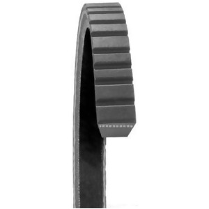 DAYCO BELTS/HOSES - DRIVE RITE BELT