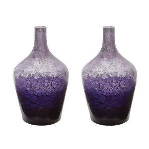 Plum Ombre Bottle Set Of 2 - All