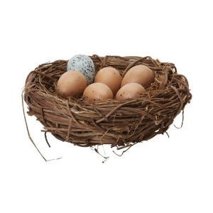 Moor Hen Eggs In Nest - All