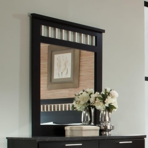 Standard Furniture Atlanta Rectangular Mirror in Ebony Black - All