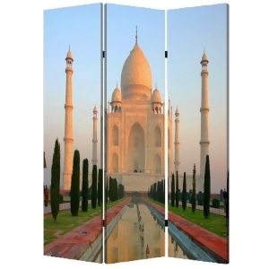 Screen Gems Taj Mahal Screen - All