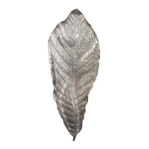 Colossal Silver Leaf - All