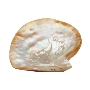 Pearl Shell Plate - All