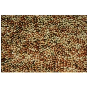 Noble House Eyeball Collection Rug in Rust / Brown / Beige - All