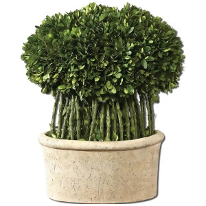 Uttermost Preserved Boxwood Willow Topiary - All