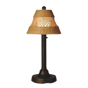 Patio Living Concepts Java 34 Inch Table Lamp w/ 2 Inch Bronze Tube Body Diamo - All