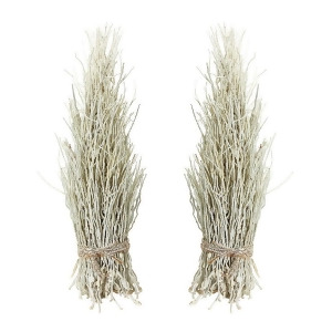 White Washed Coco Twig Sheaf Set Of 2 - All