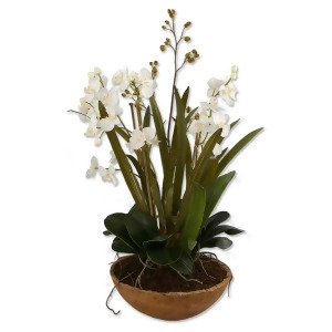 Uttermost Moth Orchid Planter - All