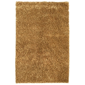Noble House Sheen Collection Rug in Brown - All