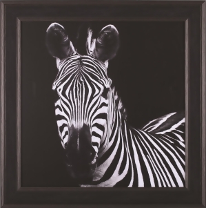 Art Effects Zebra Ii Square - All