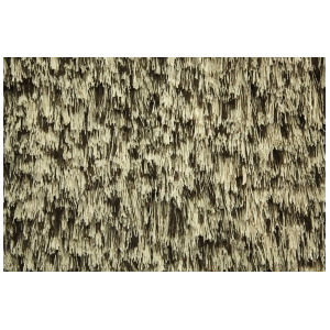 Noble House Crystal Collection Rug in Beige / Dark Brown - All
