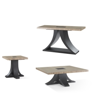 Allan Copley Designs Bonita 3 Piece Coffee Table Set in Zebrawood - All