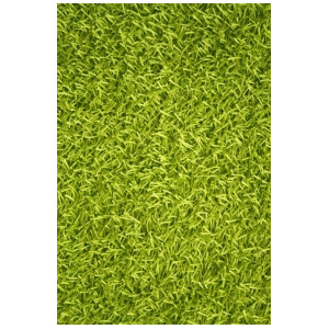 Noble House Sara Collection Rug in Lime Green - All