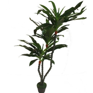 Entrada En112519 Artificial Dracaena Plant Set of 2 - All