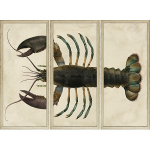 Art Virtuoso Lobster Sectioned Framed Art Print-P8761-05757 - All