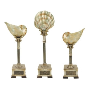 Sterling Industries 91-4423 Set/3 Cultured Seashells - All