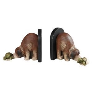 Sterling Industries 93-19337/S2 Hatching Turtle Bookends - All