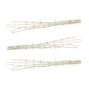 White Mulberry Stick Bunch Set Of 3 - All
