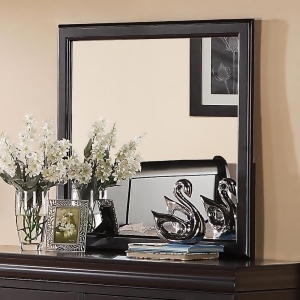 Standard Furniture Lewiston Black Rectangular Mirror in Black - All