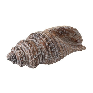 Lazy Susan Wooden Conch Shell - All