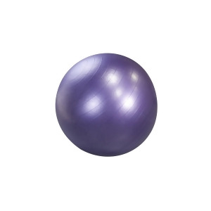 Maha Purple Stay Ball 55cm - All