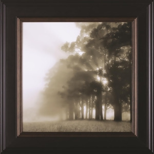 Art Effects Misty Forest - All