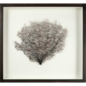 Mirror Image Large Natural Coral Sea Fan 30051 - All