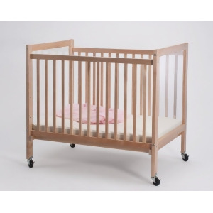Whitney Brothers Infant Clear View Crib - All