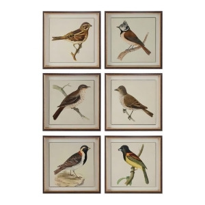 Uttermost Spring Soldiers Bird Prints Set of 6 - All