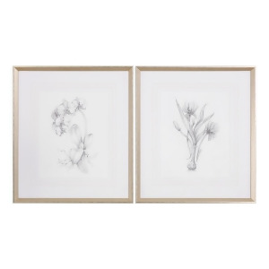 Uttermost Botanical Sketches Framed Prints Set of 2 - All