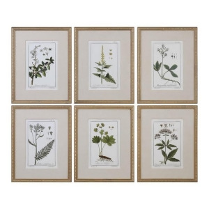 Uttermost Green Floral Botanical Study Prints Set of 6 - All