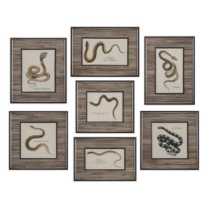 Uttermost Snakes Under Glass Prints Set of 7 - All