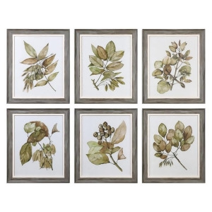 Uttermost Seedlings Framed Prints Set of 6 - All