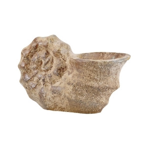 Pomeroy Shell Catchpot - All