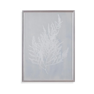 Bassett Mirror Silver Foil Algae Ii - All