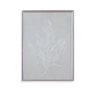Bassett Mirror Silver Foil Algae Iii - All