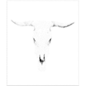 Bleached Horns Painting Print On Wrapped Canvas - All