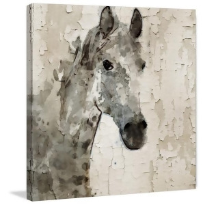 Glaeta Horse Painting Print On Wrapped Canvas - All